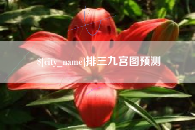 诸暨排三九宫图预测