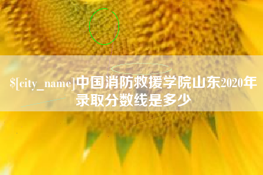 诸暨中国消防救援学院山东2020年录取分数线是多少