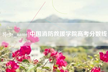 诸暨中国消防救援学院高考分数线