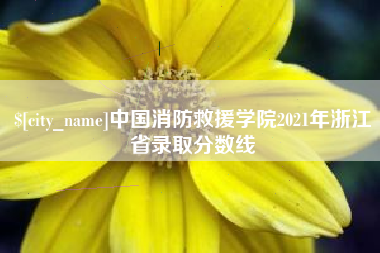 诸暨中国消防救援学院2021年浙江省录取分数线