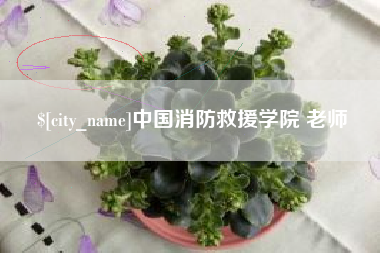 诸暨中国消防救援学院 老师