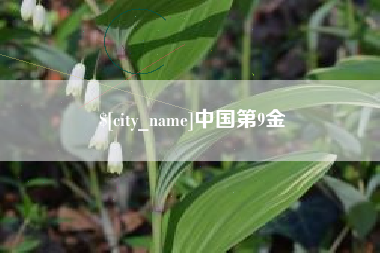 诸暨中国第9金