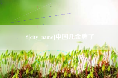 诸暨中国几金牌了