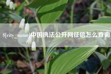诸暨中国执法公开网征信怎么查询