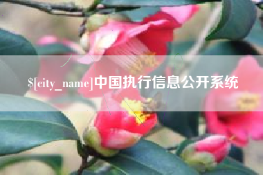 诸暨中国执行信息公开系统