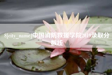 诸暨中国消防救援学院2019录取分数线