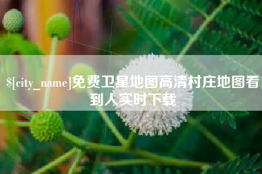 诸暨免费卫星地图高清村庄地图看到人实时下载