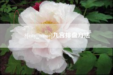 诸暨九宫排盘方法