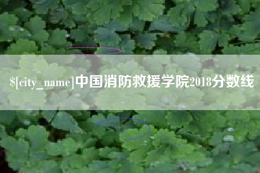 诸暨中国消防救援学院2018分数线