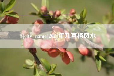 诸暨2021年九宫格风水