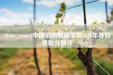 诸暨中国消防救援学院2020年各省录取分数线