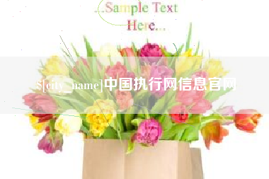 诸暨中国执行网信息官网