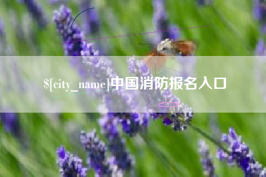 诸暨中国消防报名入口