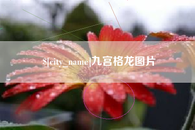 诸暨九宫格龙图片