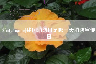 诸暨我国消防日是哪一天消防宣传日