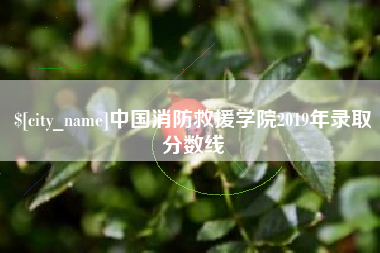 诸暨中国消防救援学院2019年录取分数线
