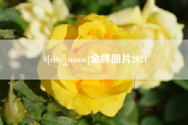 诸暨金牌图片2021