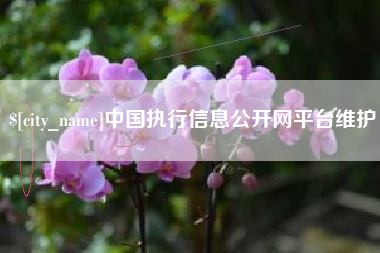 诸暨中国执行信息公开网平台维护