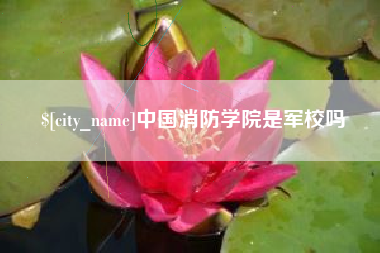 诸暨中国消防学院是军校吗