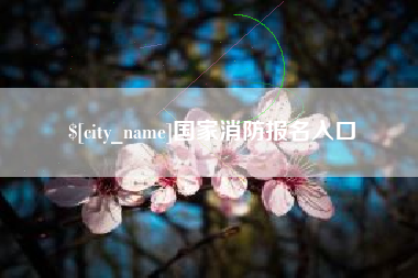 诸暨国家消防报名入口