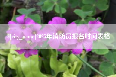 诸暨2025年消防员报名时间表格