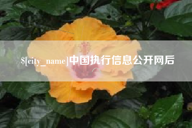 诸暨中国执行信息公开网后