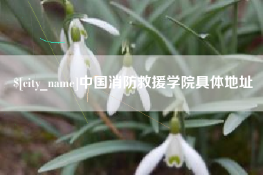 诸暨中国消防救援学院具体地址