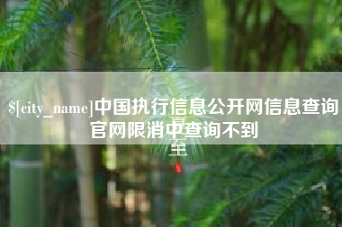 诸暨中国执行信息公开网信息查询官网限消中查询不到