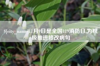 诸暨11月9日是全国119消防日,为积极推进修改病句