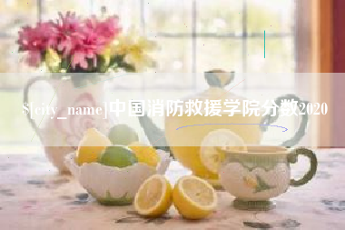 诸暨中国消防救援学院分数2020