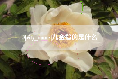诸暨九金指的是什么