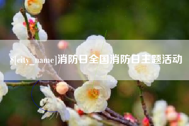 诸暨消防日全国消防日主题活动