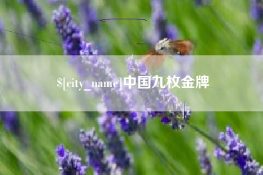 诸暨中国九枚金牌