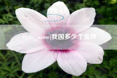 诸暨我国多少个金牌