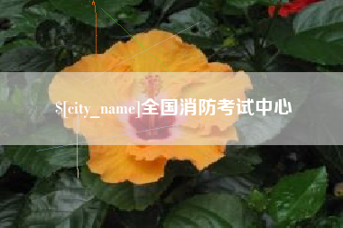 诸暨全国消防考试中心