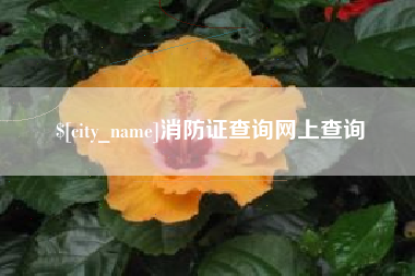 诸暨消防证查询网上查询