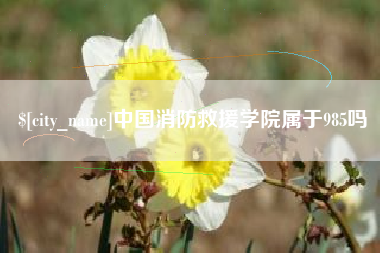 诸暨中国消防救援学院属于985吗