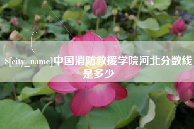诸暨中国消防救援学院河北分数线是多少