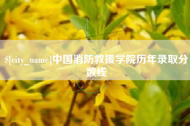 诸暨中国消防救援学院历年录取分数线