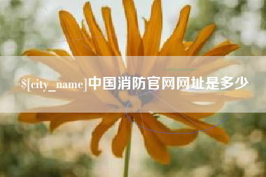 诸暨中国消防官网网址是多少