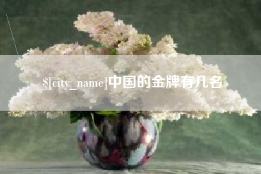 诸暨中国的金牌有几名