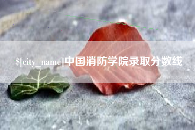 诸暨中国消防学院录取分数线