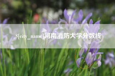 诸暨河南消防大学分数线