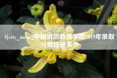 诸暨中国消防救援学院2019年录取分数线是多少