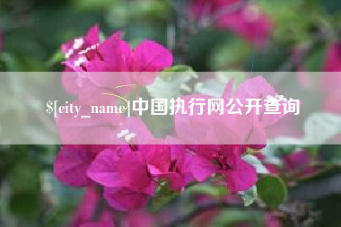 诸暨中国执行网公开查询