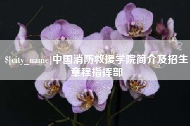 诸暨中国消防救援学院简介及招生章程指挥部