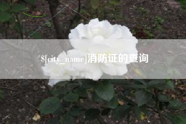诸暨消防证的查询