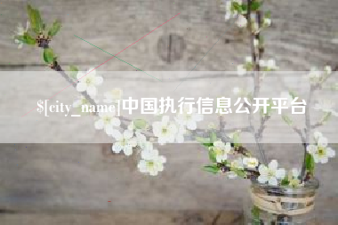 诸暨中国执行信息公开平台