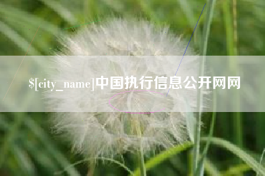 诸暨中国执行信息公开网网
