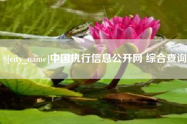 诸暨中国执行信息公开网 综合查询